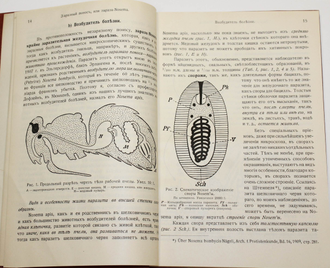 Цандер Э. Болезни и враги взрослых пчел. СПб.: Тип. `Орбита`, [1915].
