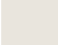 Серый дымчатый U775 (ST9)2800х2070мм.