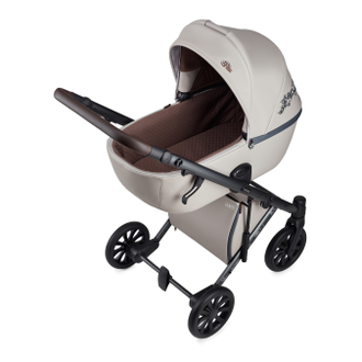 Коляска 3в1 Anex e/type Eden