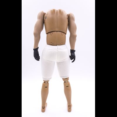 Тело DID 1/6 в тактических перчатках с бесшовными руками (MA1008) - DID