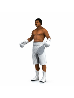 спорт Боксер Apollo Creed