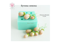 "Бутоны лимона" силиконовый молд