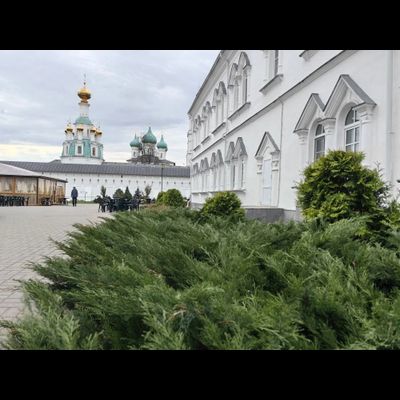 Экскурсия «Ярославль: Стрелка двух рек, Толгский монастырь и кедровая роща»