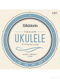 D`Addario EJ87T Titanium