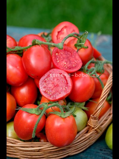 Томат Царица Полей, 10 шт