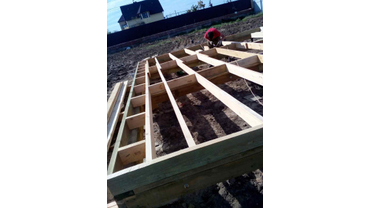 Половые лаги