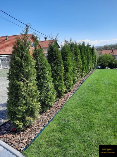 кора мульчирование