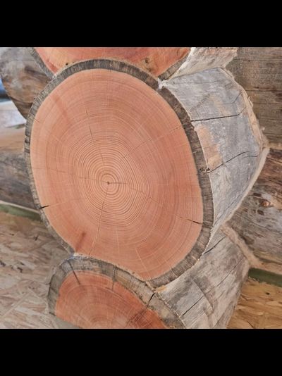 Бревно КЕЛО для изготовления срубов 24-44 см