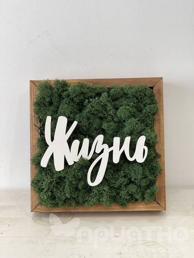 ЖИВАЯ ЭКО-КАРТИНА 1059