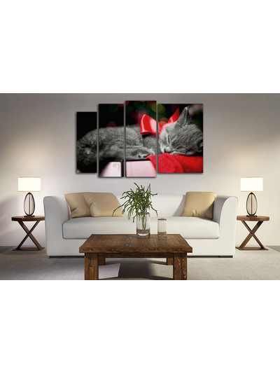 Модульная картина "Кот с красным бантиком"