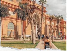 KAIR AUTOBUSEM Z HURGHADY, PROGRAM STANDARD