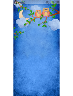 Фотофон «Совы»