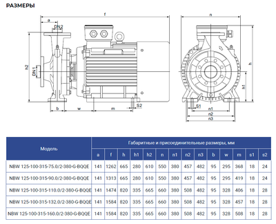 NBW 125-100-315-75.0/2-G