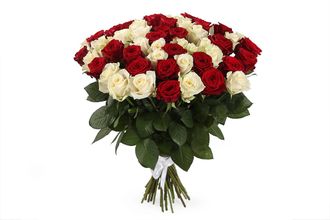красные и белые розы 51 шт
