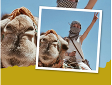 BUGGY-FAHRT UND KAMELRITT IN SHARM EL SHEIKH