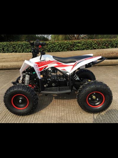 Детский квадроцикл Motax GEKKON 90cc