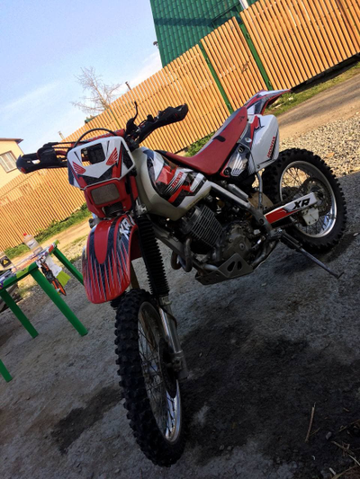 Honda XR 250 1999 2000 2001 2002 2003 2004  #1972