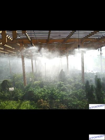 Подвес для микродождевателя / фоггера (6мм Н), с клапаном "антикапля", 50 см (белый)