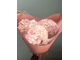 Классический букет из 3 розовых гортензий