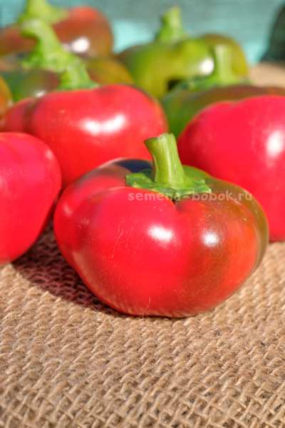 Перец сладкий Малиновое сердце, 10 шт