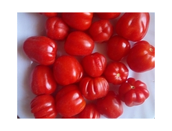 Томат Черри Аккордеон