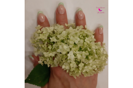 Маникюр с покрытием гель-лаком. Мастер Альбина