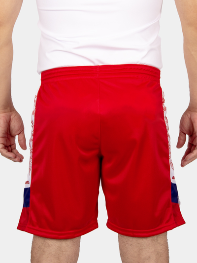 Шорты самбо BRAVEGARD ПОБЕДА красные