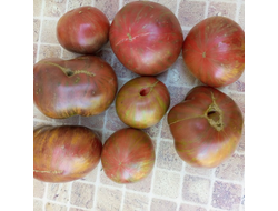 Томат Гном Тенесси Сюит (Dwarf Tennessee Suited)