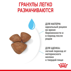 Royal Canin (Роял Канин) Mini Starter Сухой корм для щенков мелких пород до 2 мес, 1 кг