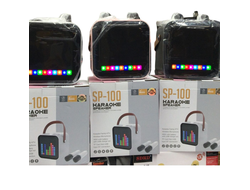 Семейная портативная караоке система с двумя микрофонами