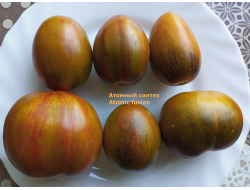 Томат Атомный синтез (Atomic fusion), США