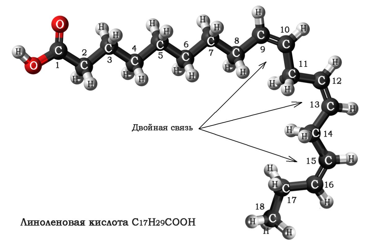Шаростержневая модель линоленовой кислоты