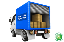 ПОЧТА РОССИИ