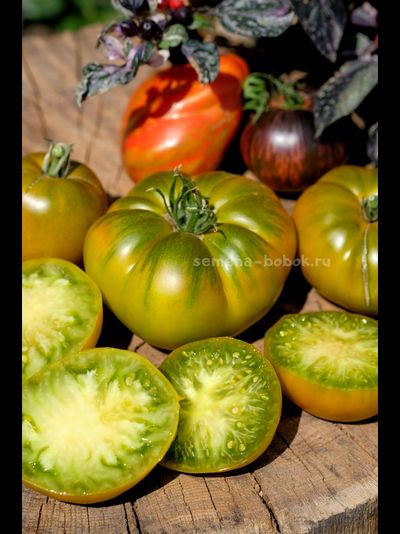 Томат Ярсон 20 (Jarson 20), 10 шт