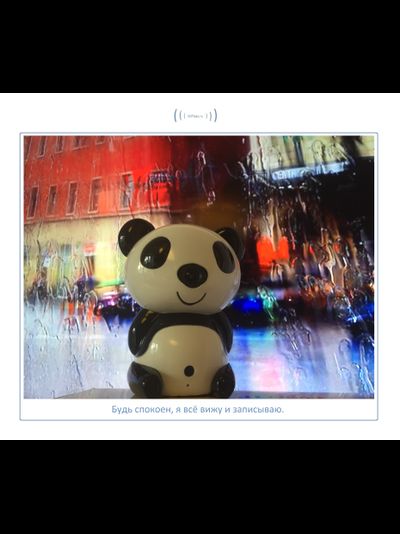 Видеоняня Panda WiFi-LAN видеокамера с DVR , HD (MIPC)