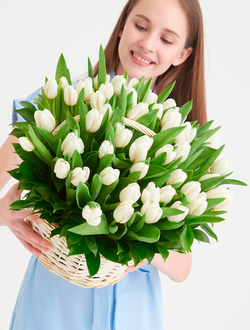 51 белый тюльпан в корзине