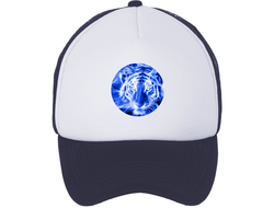 Кепка год Тигра №8