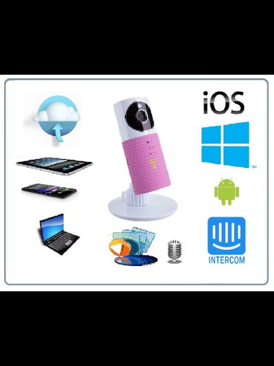 Видеоняня /WiFi видеокамера CleverDog с DVR