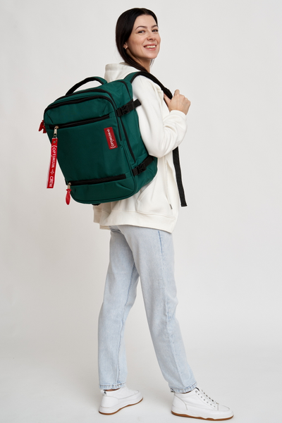 Рюкзак Сумка Чемодан ручная кладь 40x30x20 Optimum Wizz Air RL, котики