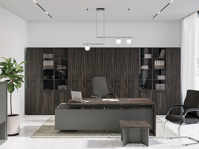 Кабинет руководителя Dali