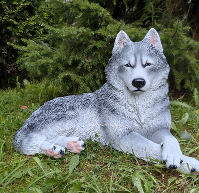 Хаски - садовая фигура 65*44см  6кг   экологичный полистоун Россия  5278/012308 Не боится влаги и перепадов температур.
