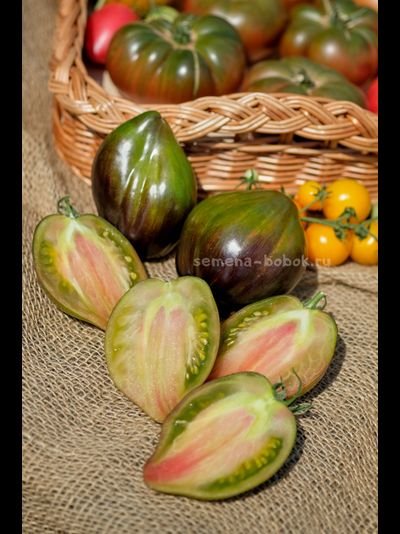 Томат Изумрудная Карамель Елены, 10 шт