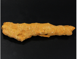 Коралл природный, Индонезия (104*25*18 мм, 26 г) №27543