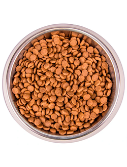 Monge Cat Speciality Line Monoprotein (Монж) для котят, с форелью 1,5 кг