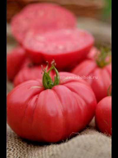 Томат Чалма Агры, 10 шт