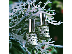 "Superior chypre" авторские духи шипровые унисекс