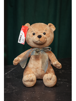 Плюшевый медведь