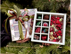 Корпусные конфеты 8шт и шоколадная плитка