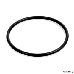 Уплотнительное кольцо 47,29x2,62 (6.363-090.0)