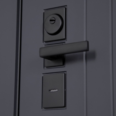 Стальная дверь    «Муреа». Заказная модель.